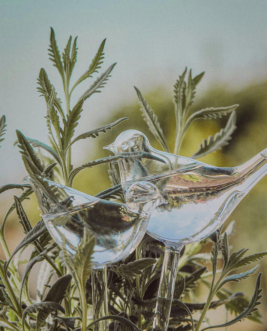 BURBUJA DE AUTORIZACIÓN DE VIDRIO DE BOROSILICATO 