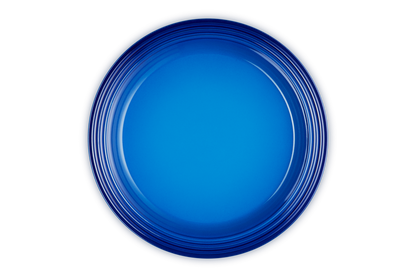 Stoneware Dinner Plate